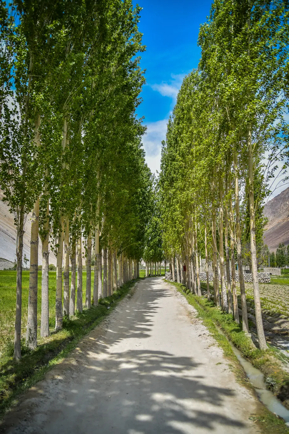 Valleys, northern Pakistan. Photograph by Yashkuk