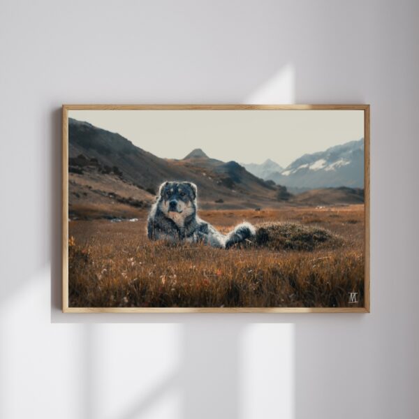 Wildlife