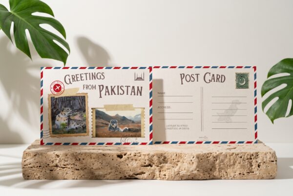 Greetings From Pakistan Postcard