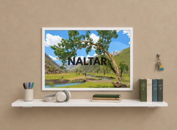 Naltar Valley - Landscape